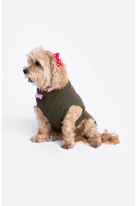 Johnny Was M69423 Zuzu Embroidered Dog Sweater