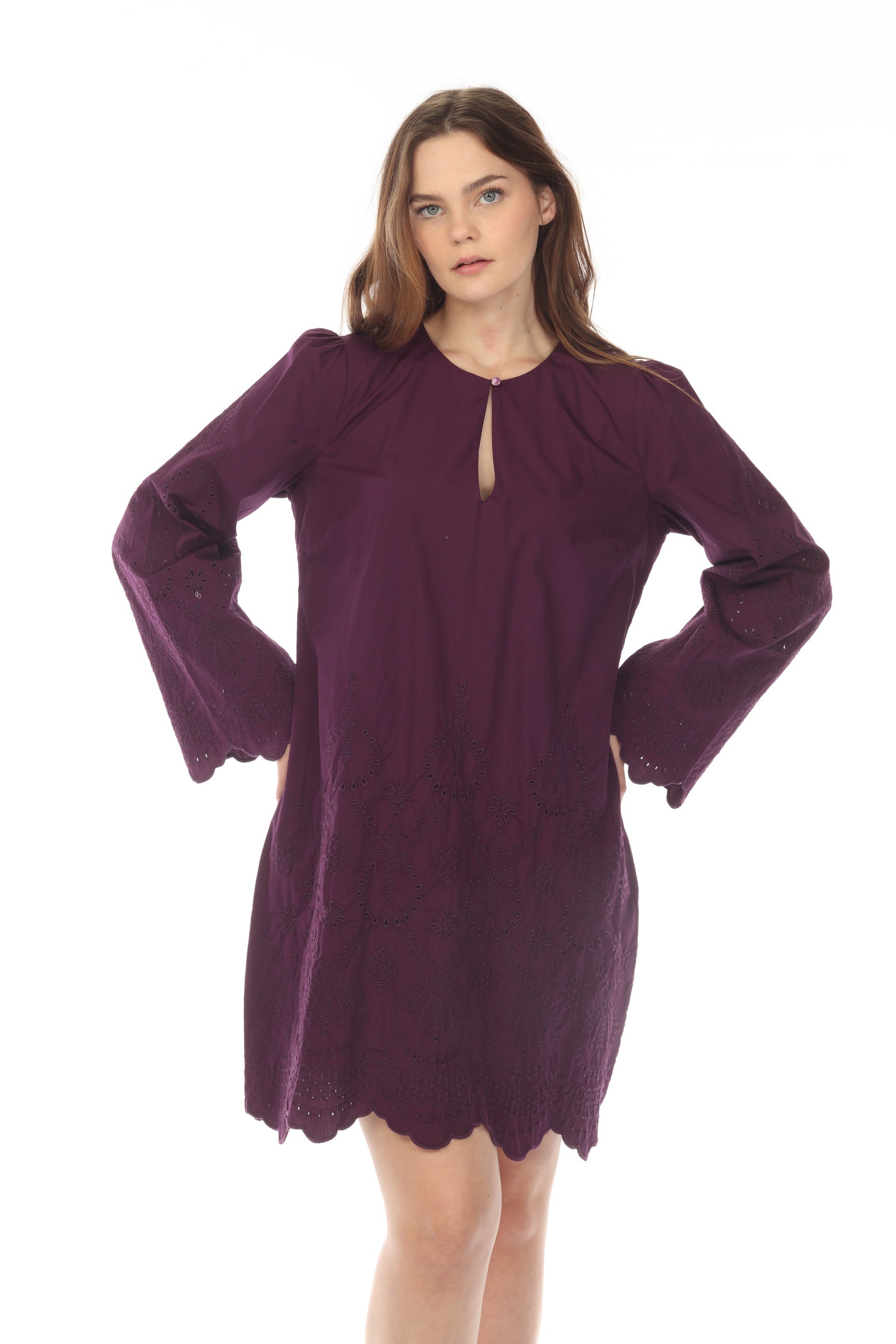 Mauve Embroider purchases Eyelet Ruffle Sleeve Dress